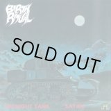 画像: BIRTH RITUAL, BATTLE SHRINE / split (7ep) Aces sky high