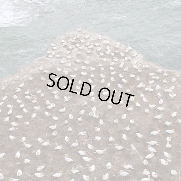 画像1: PWRFL Power / Extra ball (cd) Half yogurt 