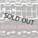 画像: RUIDOSA INMUNDICIA / Discografia 2004-2010 (cd) Fade-in international