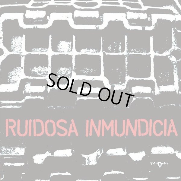 画像1: RUIDOSA INMUNDICIA / Discografia 2004-2010 (cd) Fade-in international