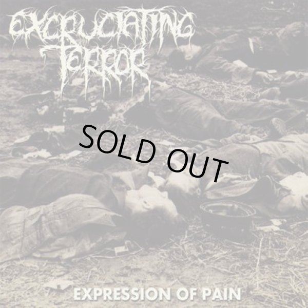 画像1: EXCRUCIATING TERROR / Expression of pain (cd) Blastasfuk