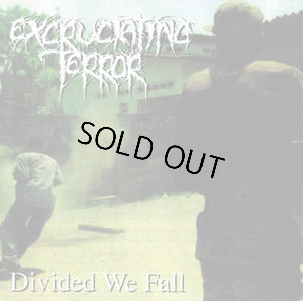 画像1: EXCRUCIATING TERROR / Divided we fall (cd) Blastasfuk