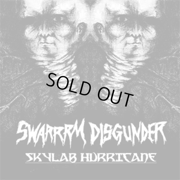 画像1: DISGUNDER, SWARRRM / split -Skylab hurricane- (7ep) Break the record 