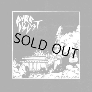 画像: PURE DISGUST / st (Lp) Katorga works 