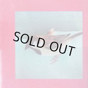 画像: SHUT YOUR MOUTH / Phoenix (cd) Toosmell 