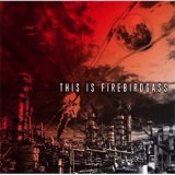 画像: FIREBIRDGASS / This is firebirdgass (cd) Break the record