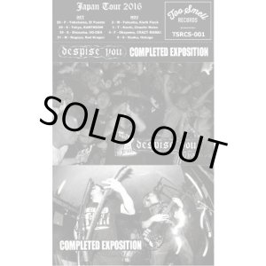 画像: DESPISE YOU、COMPLETED EXPOSITION / Japan tour 2016 (tape) Toosmell