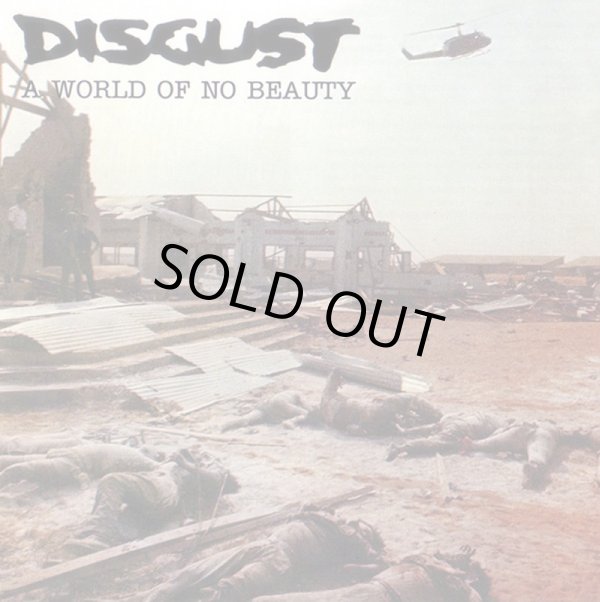 画像1: DISGUST / A world of no beauty (2Lp) Behind the mountain 