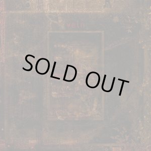 画像: VEIN / Self destruct (7ep) Closed casket activities 