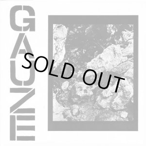 画像: GAUZE / Equalizing distort (Lp) Xxx   
