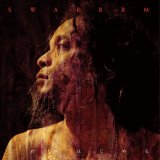 画像: SWARRRM / こわれはじめる (cd) Longlegslogarms 