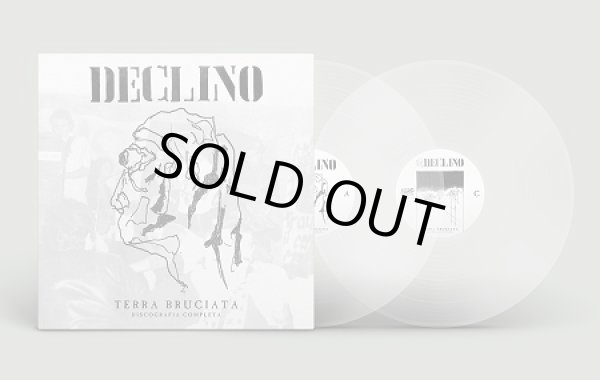 画像2: DECLINO / Terra bruciata - Discografia completa (2Lp) F.o.a.d. 