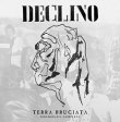 画像1: DECLINO / Terra bruciata - Discografia completa (2Lp) F.o.a.d. 