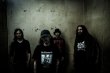 画像2: PALM / To live is to die, to die is to live  (cd) Deliver B