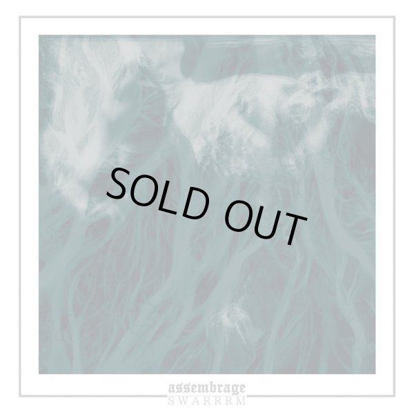 画像1: assembrage, SWARRRM / split (7ep) Break the records 