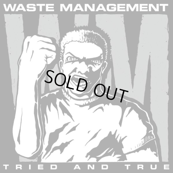 画像1:  WASTE MANAGEMENT / Tried and true (Lp) Painkiller 