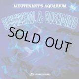 画像: DJ HIGHSCHOOL & BUSHMIND / Lieutenant's aquarium vol.2 (cd) Seminishukei  