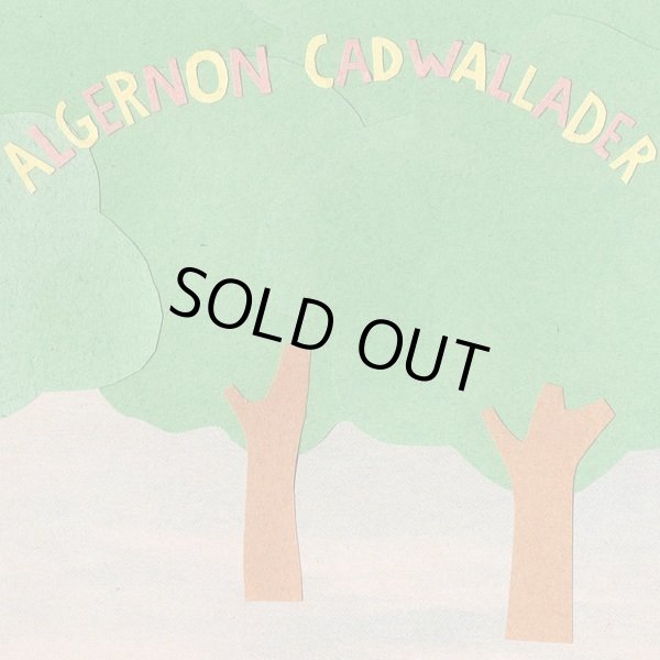画像1: ALGERNON CADWALLADER / Some kind of cadwallader (cdr)(Lp) Lauren  