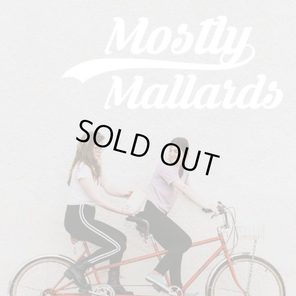 画像1: HOT TANG / Mostly mallards (tape) Lauren 