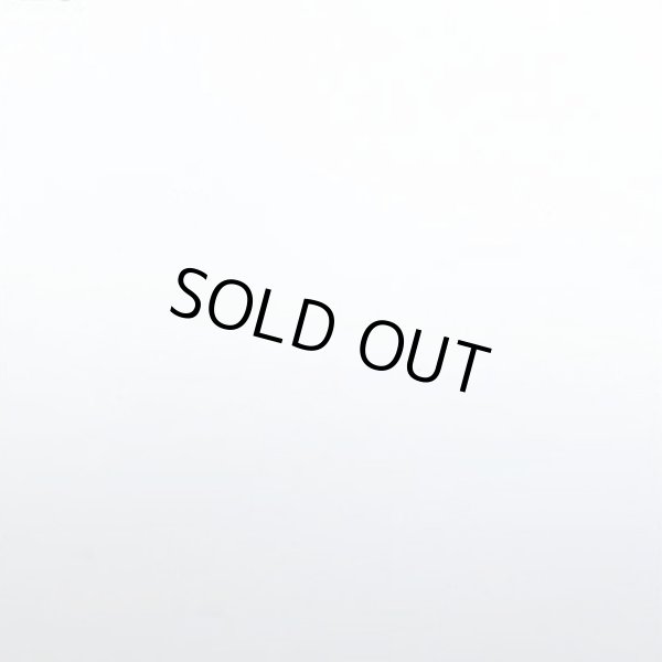 画像1: STUBBORN FATHER / st (cd) Longlegslongarms  