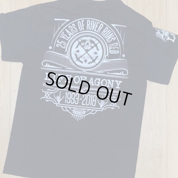 画像2: LIFE OF AGONY / 25 years (t-shirt)  