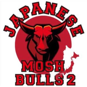 画像: V.A / Japanese mosh bulls 2 (cd) 半田商会