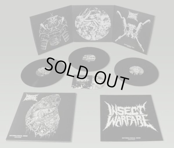 画像3: INSECT WARFARE / Entomological siege 2004/2009 (3Lp+dvd box)(2cd+dvd box) F.o.a.d. 