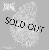 画像: INSECT WARFARE / Entomological siege 2004/2009 (3Lp+dvd box)(2cd+dvd box) F.o.a.d. 