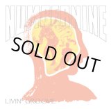 画像: NUMBERNINE / Livin’groove (cd) Furious