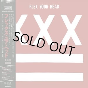 画像: V.A / Flex your head 日本盤仕様ver (Lp) Dischord 