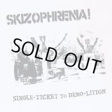 画像: SKIZOPHRENIA! / Single ticket to demo-lition (Lp)  Todo destruido