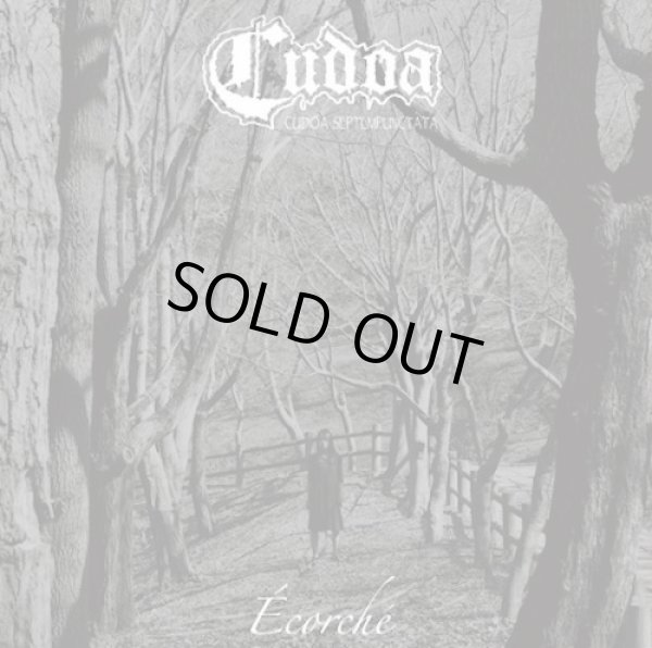 画像1: Cudoa / Ecorche (cd) Lost rivers product 