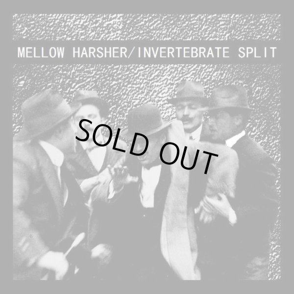 画像1: MELLOW HARSHER, INVERTEBRATE / Split (7ep) 625 Thrashcore 