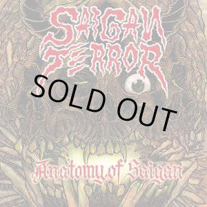 画像: SAIGAN TERROR / Anatomy of saiagn (Lp) Triple-B