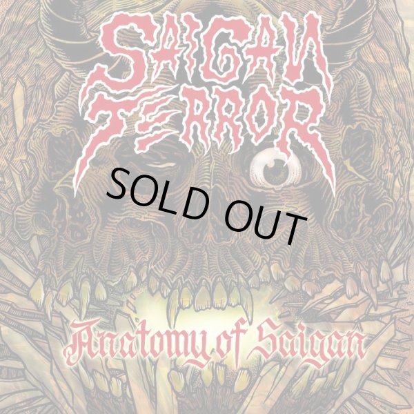 画像1: SAIGAN TERROR / Anatomy of saiagn (Lp) Triple-B