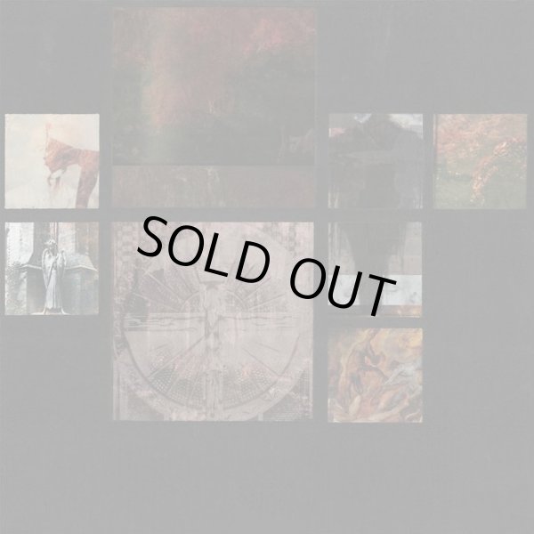 画像1: DIVISION OF MIND / st (Lp) Triple-B 