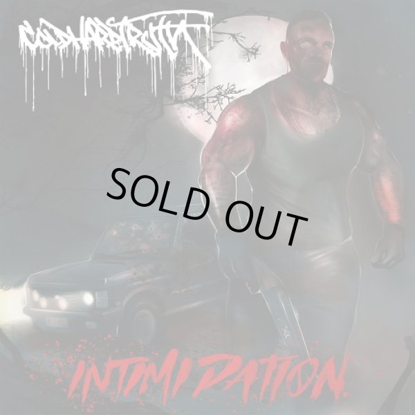 画像1: COLD HARD TRUTH / Intimidation (cd) Rucktion 