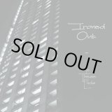 画像: IRONED OUT / In these days (cd) Rucktion 