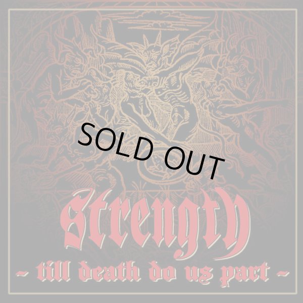 画像1: STRENGTH / Till death do us part (cd) 半田商会 