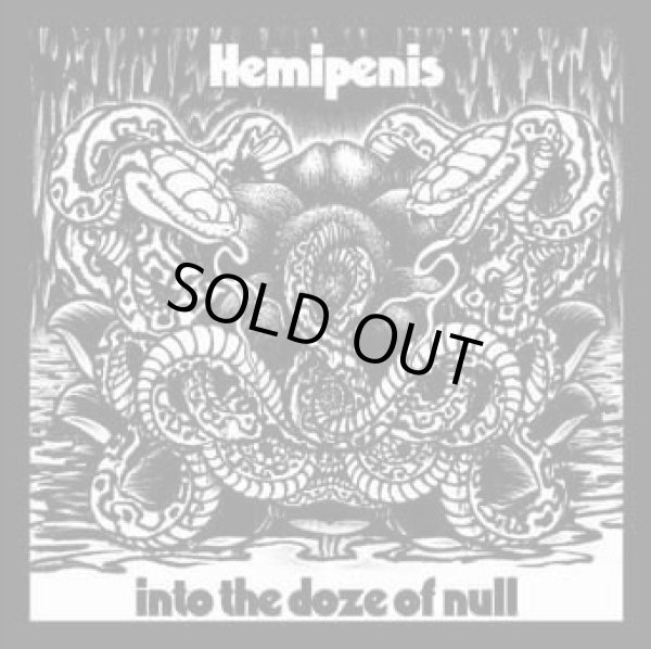 画像1: Hemipenis / Into the doze of null (cd) Self  