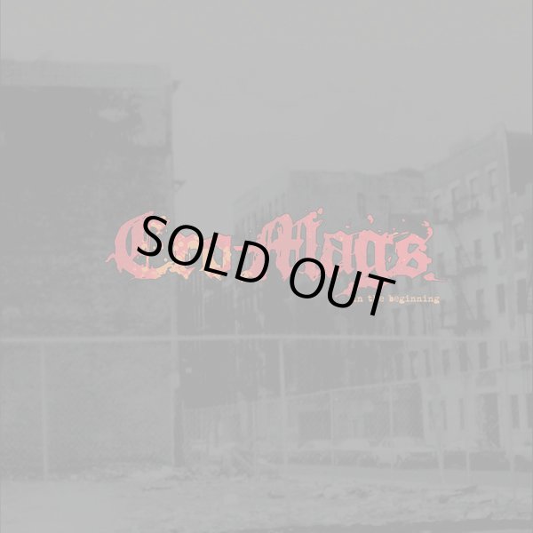 画像1: CRO-MAGS / In the beginning (cd)(Lp)(tape) Mission two entertainment 