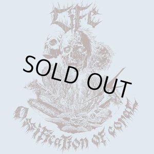 画像: LiFE / Ossification of coral (Lp)  Desolate  