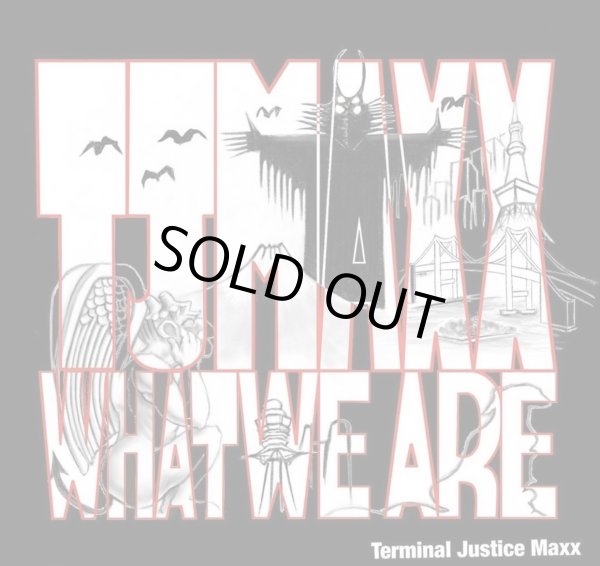 画像1: T.J.MAXX / What we are (cd) Pittbull japan 