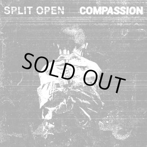 画像:  SPLIT OPEN, COMPASSION / split (Lp) Rsr 