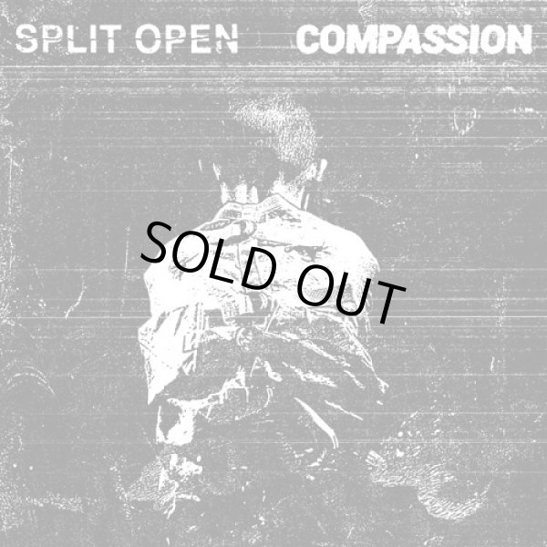 画像1:  SPLIT OPEN, COMPASSION / split (Lp) Rsr 
