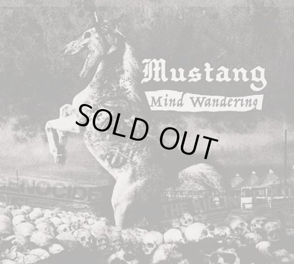 画像1: MUSTANG / Mind wandering (cd) Brak the records