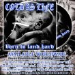 画像2:  COLD AS LIFE / Born to land hard (cd) A389  