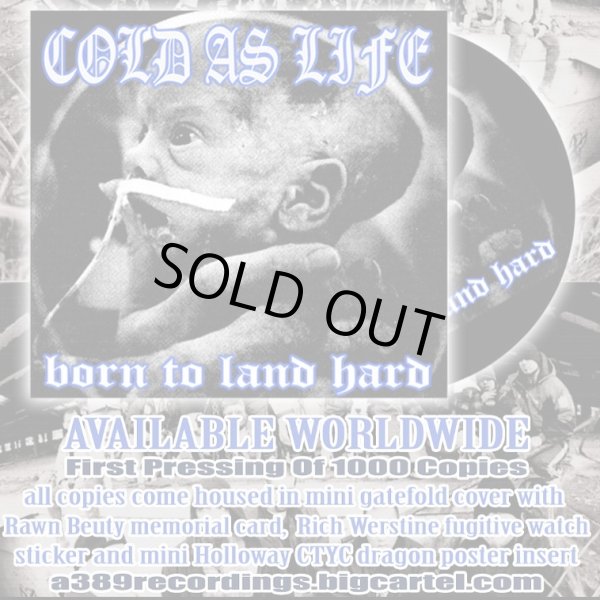 画像2:  COLD AS LIFE / Born to land hard (cd) A389  