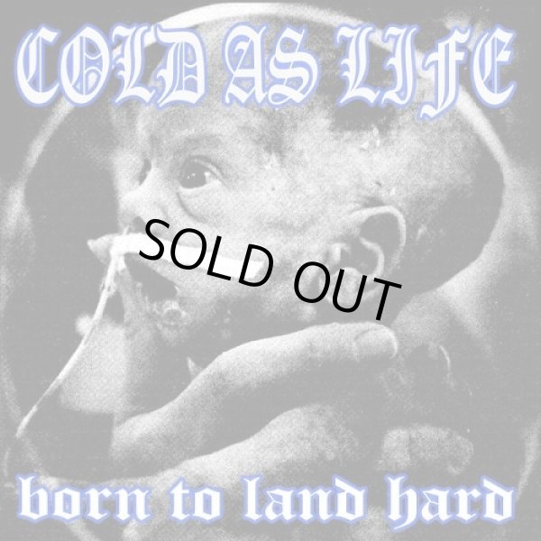 画像1:  COLD AS LIFE / Born to land hard (cd) A389  