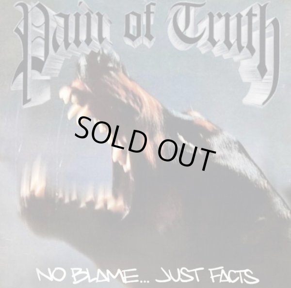 画像1: PAIN OF TRUTH / No blame...just facts (Lp) Daze